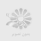 نت كوين كپيتال چيست ؟